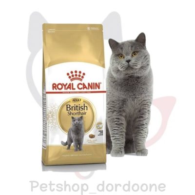 پت شاپ گربه غذا خشک گربه