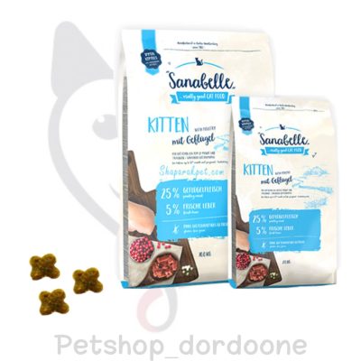 پت شاپ گربه غذا خشک گربه