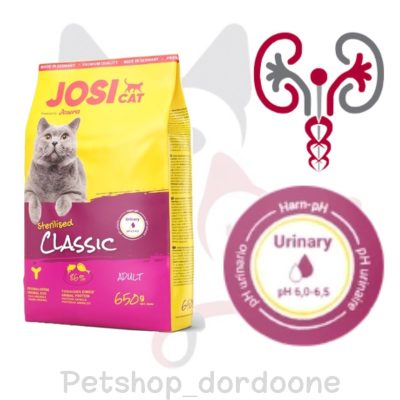 پت شاپ گربه غذا خشک گربه