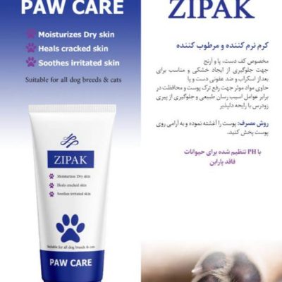 دسته بندی نشده