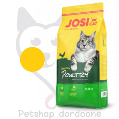 پت شاپ گربه غذا خشک گربه