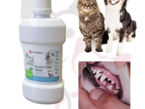 محلول دهانشویه ضدپلاک فلامینگو Flamingo Dental Care Water