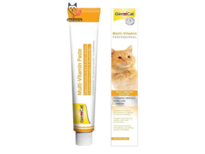 خمیر مولتی‌ویتامین جیم کت GimCat Multi-Vitamin Professional